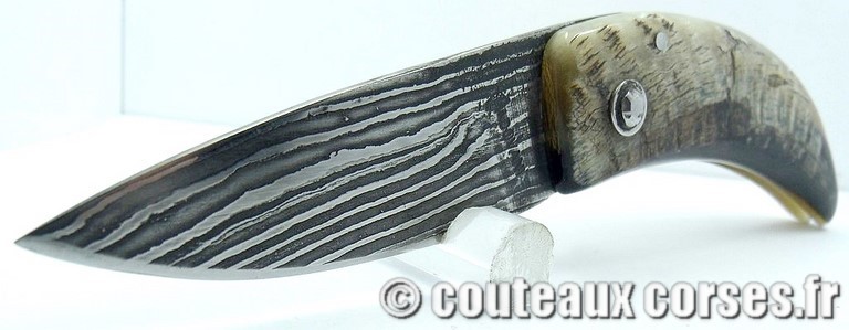 Curnicciolu corne de belier et damas M Padovani curnicciolu-damas-et-corne-de-belier-padovani-WXC8-1