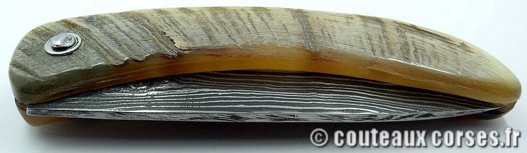 Curnicciolu acier damas 500 couches et corne de bélier