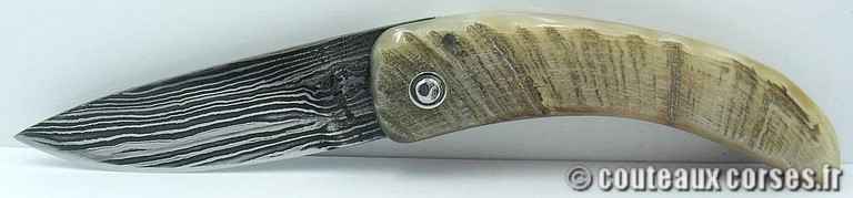 couteau-corse-damas-padovani-c5