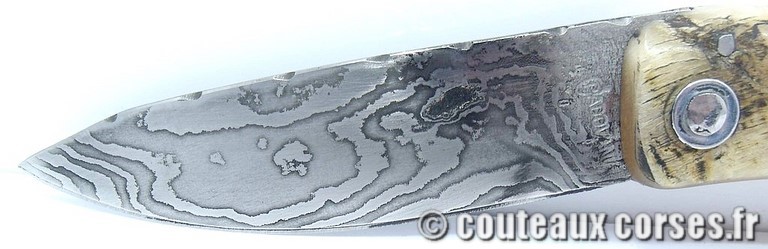 couteau corse curnicciolu damas et corne de belier curnicciolu-damas-et-corne-de-belier-VBXWOR803-padovani-198