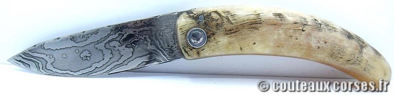 couteau corse curnicciolu damas et corne de belier curnicciolu-damas-et-corne-de-belier-VBXWOR803-padovani-15