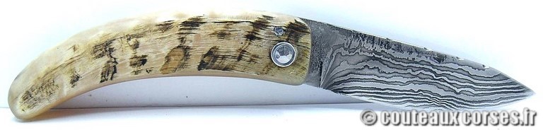 couteau corse curnicciolu damas et corne de belier curnicciolu-damas-et-corne-de-belier-VBXWOR803-padovani-18