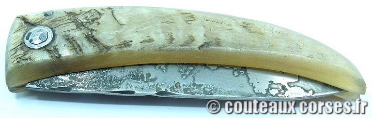 curnicciolu-damas-et-corne-de-belier-XAPGFD850-padovani-3