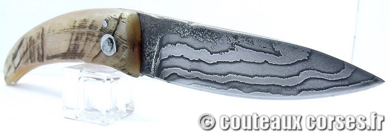 curnicciolu-damas-et-corne-de-belier-XAPGFD850-padovani-1128