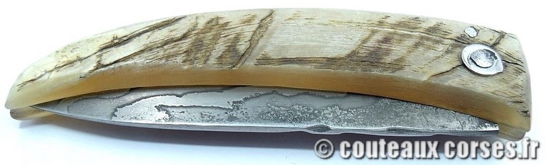 curnicciolu-damas-et-corne-de-belier-XAPGFD850-padovani-12