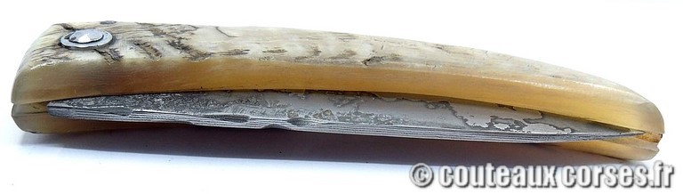 curnicciolu-damas-et-corne-de-belier-XAPGFD850-padovani-1