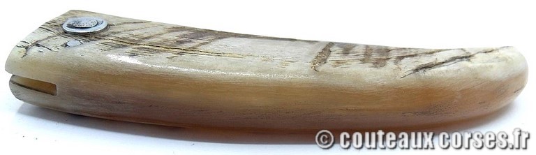 curnicciolu-damas-et-corne-de-belier-XAPGFD850-padovani-12