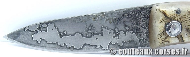 couteau corse curnicciolu damas et corne de belier curnicciolu-damas-et-corne-de-belier-XAPGFD850-padovani-198