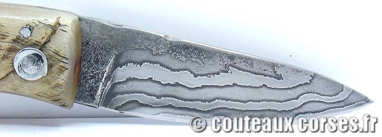 curnicciolu-damas-et-corne-de-belier-XAPGFD850-padovani-11