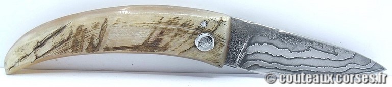 couteau corse curnicciolu damas et corne de belier curnicciolu-damas-et-corne-de-belier-XAPGFD850-padovani-18