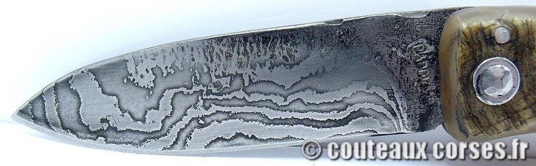 couteau corse curnicciolu damas et corne de belier PCVERS056198