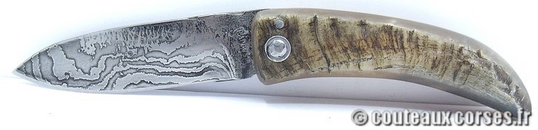 couteau corse curnicciolu damas et corne de belier curnicciolu-damas-et-corne-de-belier-PCVERS056-padovani-15