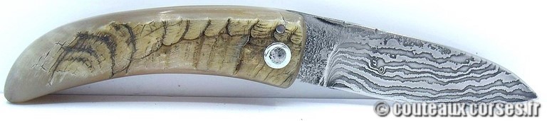 couteau corse curnicciolu damas et corne de belier PCVERS05618