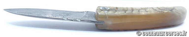 Curnicciolu corne de belier et damas king size M Padovani PCVERS05614