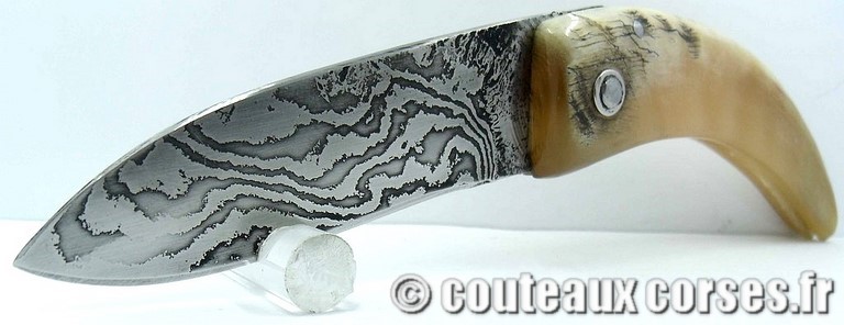 Curnicciolu corne de belier et damas M Padovani curnicciolu-damas-et-corne-de-belier-M-Padovani-IK45