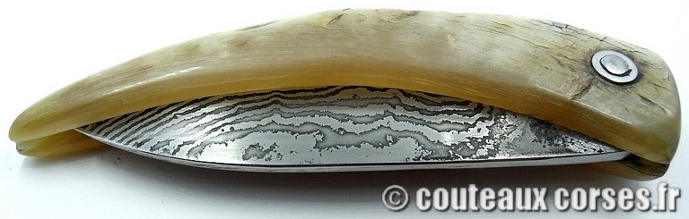 curnicciolu-damas-et-corne-de-belier-M-Padovani-IK45-2