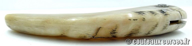 curnicciolu-damas-et-corne-de-belier-M-Padovani-IK45-3