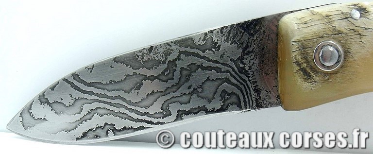 couteau corse curnicciolu damas et corne de belier curnicciolu-damas-et-corne-de-belier-M-Padovani-IK45-8