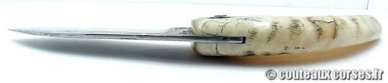 curnicciolu-damas-et-corne-de-belier-M-Padovani-IK45-4