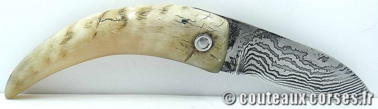 curnicciolu-damas-et-corne-de-belier-M-Padovani-IK45-5-1