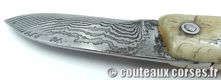 curnicciolu-damas-et-corne-de-belier-M-Padovani-IK45-89