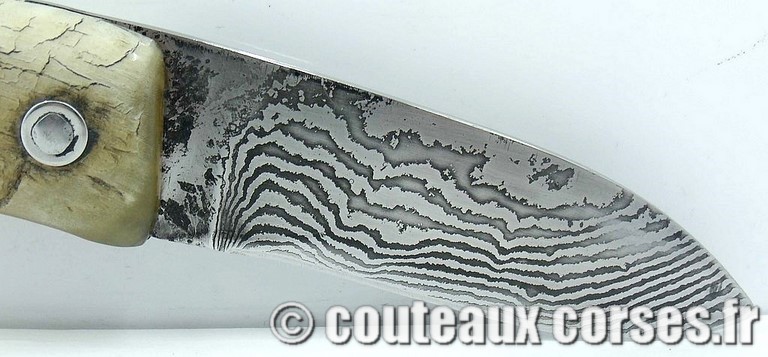 curnicciolu-damas-et-corne-de-belier-M-Padovani-IK45-5-1