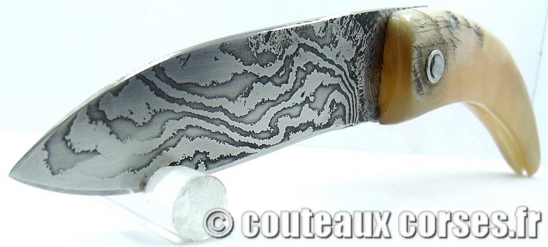curnicciolu-damas-et-corne-de-belier-M-Padovani-IK45-9