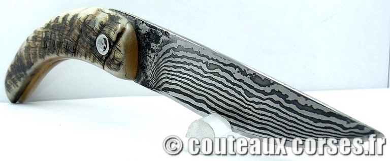 curnicciolu-damas-et-corne-de-belier-M-Padovani-DU57