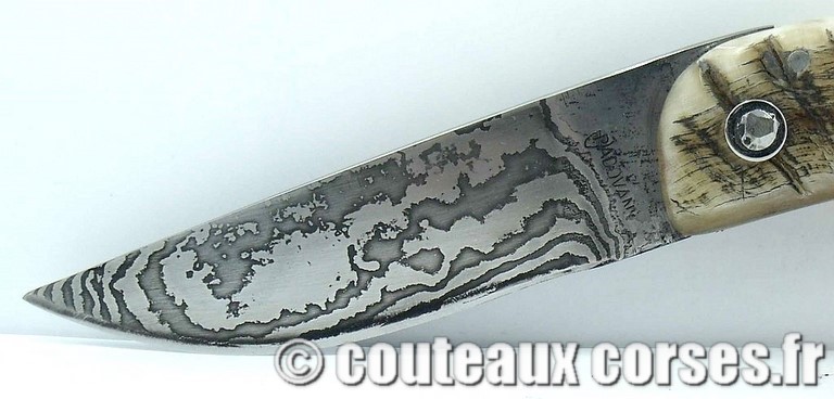 couteau corse curnicciolu damas et corne de belier curnicciolu-damas-et-corne-de-belier-M-Padovani-DU57-8