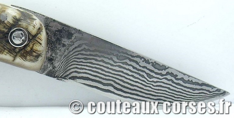 curnicciolu-damas-et-corne-de-belier-M-Padovani-DU57-1078