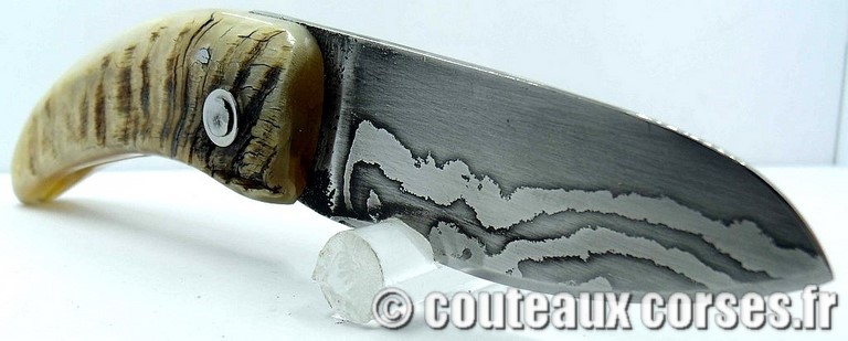 curnicciolu-damas-et-corne-de-belier-padovani-LT68-8