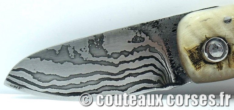 couteau corse curnicciolu damas et corne de belier curnicciolu-damas-et-corne-de-belier-padovani-LT68-8