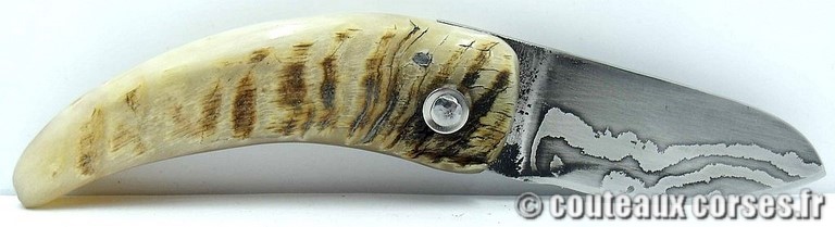 curnicciolu-damas-et-corne-de-belier-padovani-LT68-1