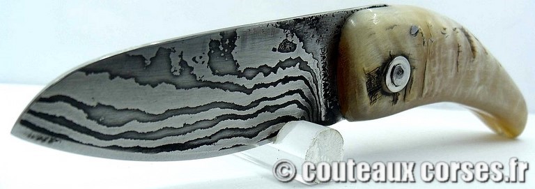 curnicciolu-damas-et-corne-de-belier-padovani-LT68-3