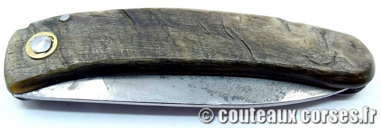 couteau corse curnicciolu Padovani u3 couteau-corse-curnicciolu-padovani-NPMLK802-91