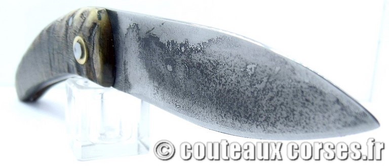 couteau corse curnicciolu Padovani u1 couteau-corse-curnicciolu-padovani-NPMLK802-510