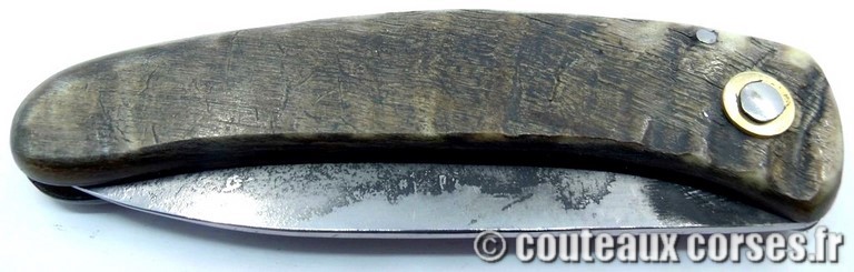 couteau corse curnicciolu Padovani u3 couteau-corse-curnicciolu-padovani-NPMLK802-8