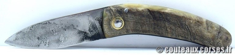 couteau corse curnicciolu Padovani u3 couteau-corse-curnicciolu-padovani-NPMLK802-5