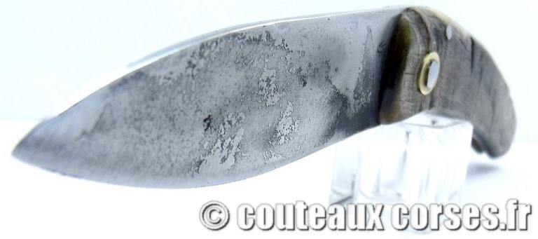 couteau corse curnicciolu Padovani u1 couteau-corse-curnicciolu-padovani-NPMLK802-1
