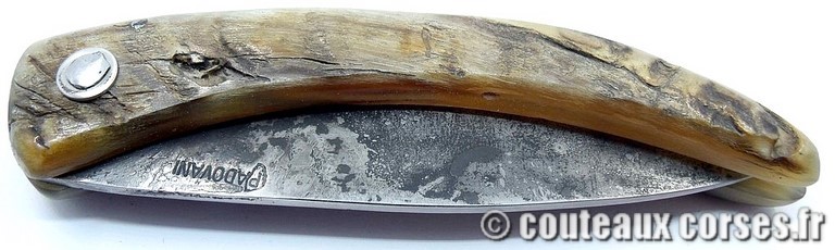 couteau corse curnicciolu Padovani u3 couteau-corse-curnicciolu-padovani-BYGF456-91