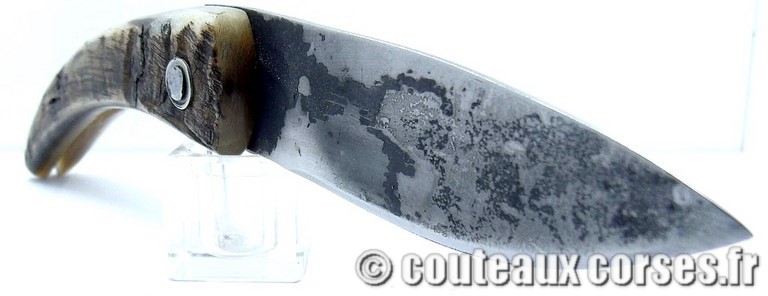 couteau corse curnicciolu Padovani u1 couteau-corse-curnicciolu-padovani-BYGF456-10