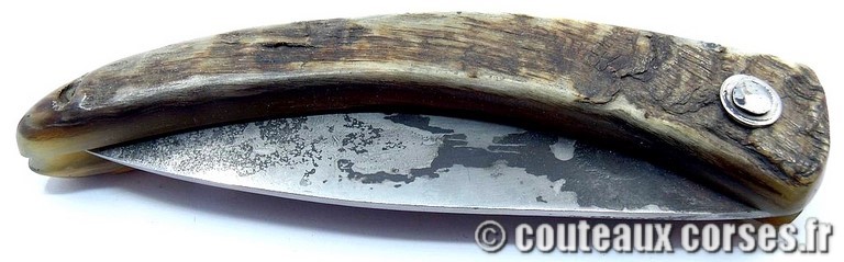 couteau corse curnicciolu Padovani u1 couteau-corse-curnicciolu-padovani-BYGF456-8