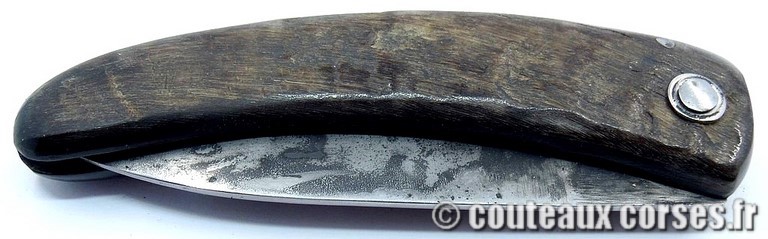 couteau corse curnicciolu Padovani u3 couteau-corse-curnicciolu-padovani-BYGF456-8