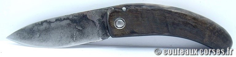 couteau corse curnicciolu Padovani u3 couteau-corse-curnicciolu-padovani-BYGF456-5