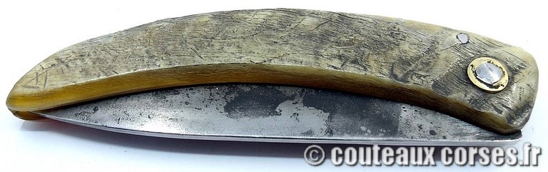 couteau corse curnicciolu Padovani u1 couteau-corse-curnicciolu-padovani-LKNB852-8
