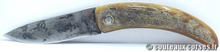 couteau corse curnicciolu Padovani u3 couteau-corse-curnicciolu-padovani-LKNB852-5