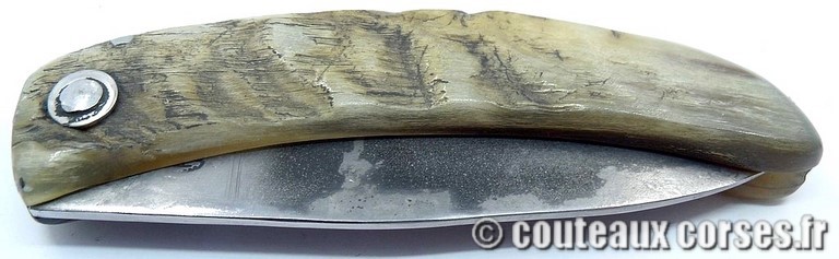 couteau corse curnicciolu Padovani u3 couteau-corse-curnicciolu-padovani-GFDV951-91