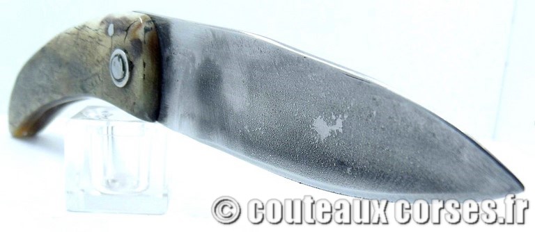 couteau corse curnicciolu Padovani u1 couteau-corse-curnicciolu-padovani-GFDV951-10