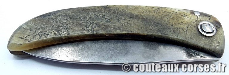 couteau corse curnicciolu Padovani u1 couteau-corse-curnicciolu-padovani-GFDV951-8