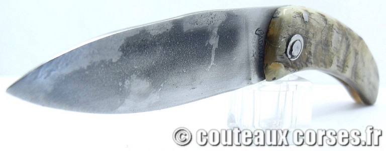couteau corse curnicciolu Padovani u1 couteau-corse-curnicciolu-padovani-MGBNU854-1
